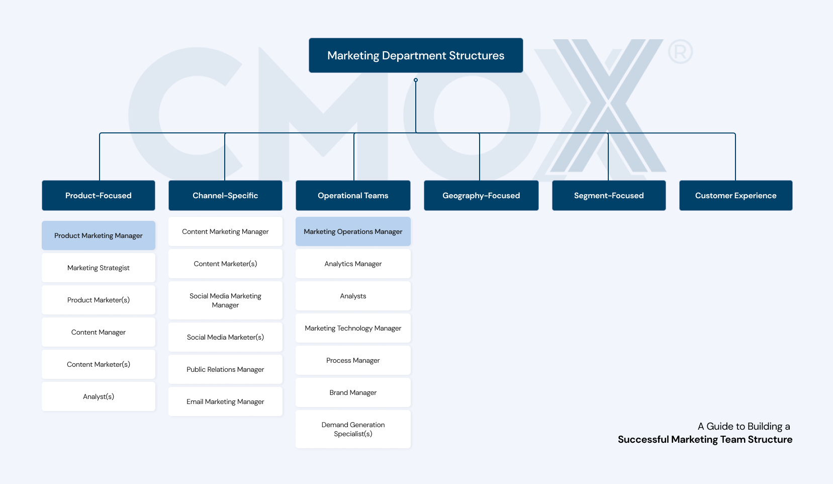 Marketing Department Structures
